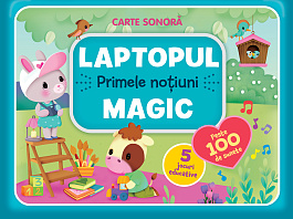 Laptopul Magic. Primele notiuni