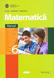 Matematica cl.6. Manual